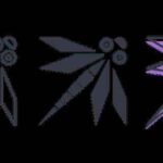 Ile kosztuje projekt strony internetowej dla małej firmy – aktualne wyceny